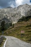 IMG_7227