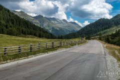 IMG_7235