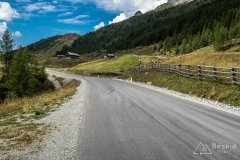 IMG_7236