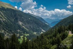 IMG_7244