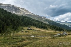 IMG_7247