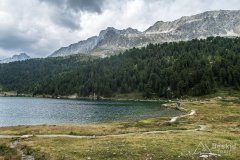 IMG_7250