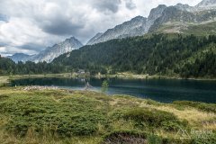 IMG_7252