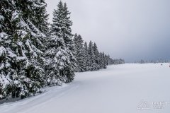 IMG_7813