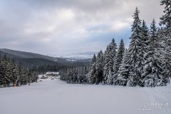 IMG_7815