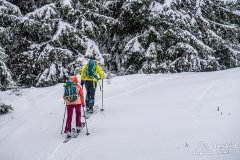 IMG_7817