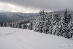 IMG_7819