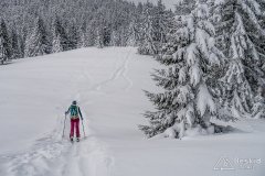 IMG_7820