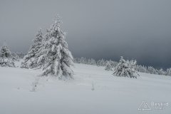 IMG_7837