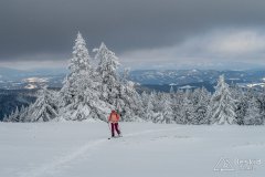 IMG_7838