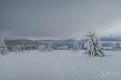 IMG_7842