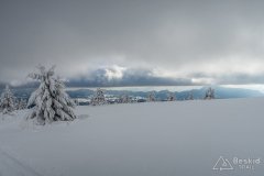 IMG_7843