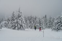 IMG_7844