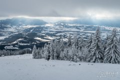 IMG_7847