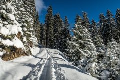 IMG_7852