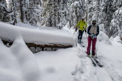 IMG_7857