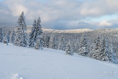 IMG_7860