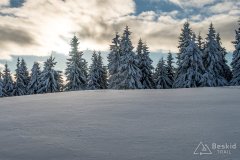 IMG_7862