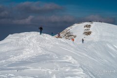 IMG_7878