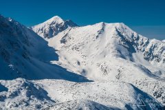 IMG_7880