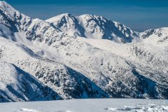 IMG_7881