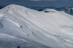 IMG_7884