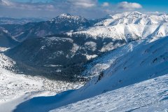 IMG_7885