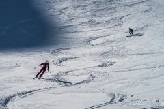 IMG_7889