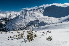 IMG_7900