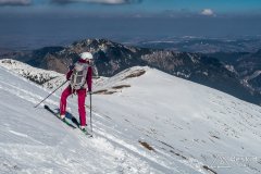 IMG_7906