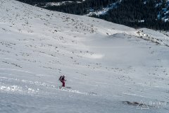 IMG_7908