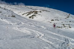 IMG_7909