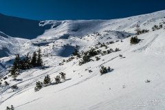 IMG_7910