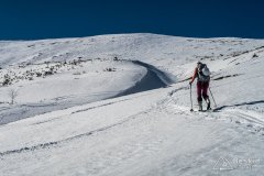 IMG_7913