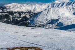IMG_7915