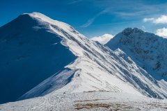 IMG_7916