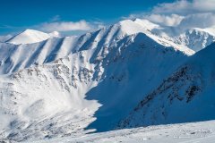 IMG_7917