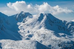 IMG_7919