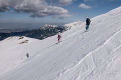 IMG_7921-1