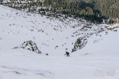 IMG_7921-2