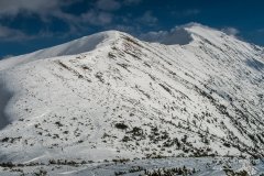 IMG_7922