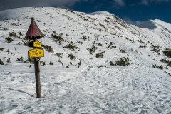 IMG_7924
