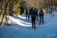 IMG_7934
