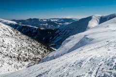 IMG_7939