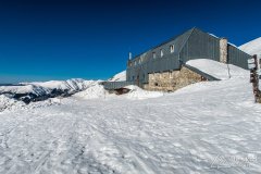 IMG_7940