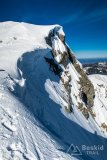 IMG_7953