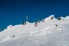 IMG_7954