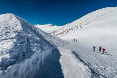 IMG_7991