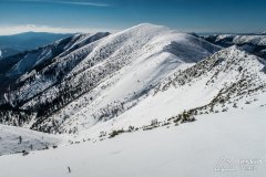 IMG_7992
