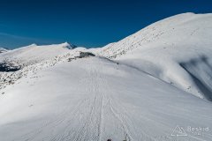 IMG_7996